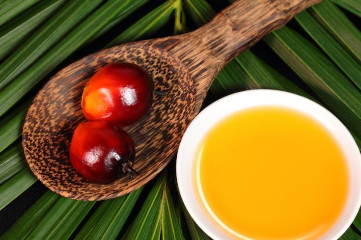 polémique huile de palme